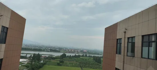 Lame d'essuie-glace en métal à cadre universel -- par 116b pour 95 % des modèles de voiture